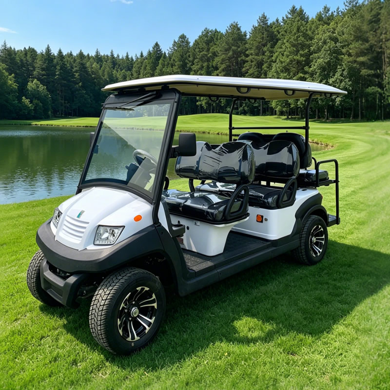 Wholesale Customized Electric Golf Buggy for Resort & Hotel - EG204AKSZ
