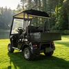 China Mini 2 Seater Electric Hunting Offroad Golf Off Road Buggy - Eagle Golf Cart