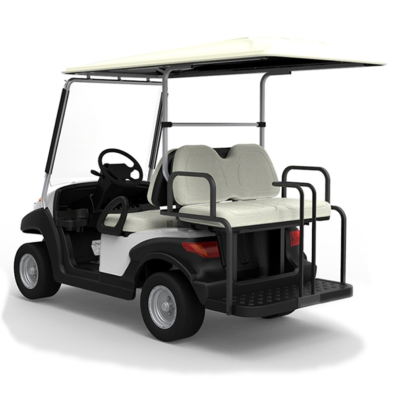 Best ev golf cart buggy - EG202AKSF