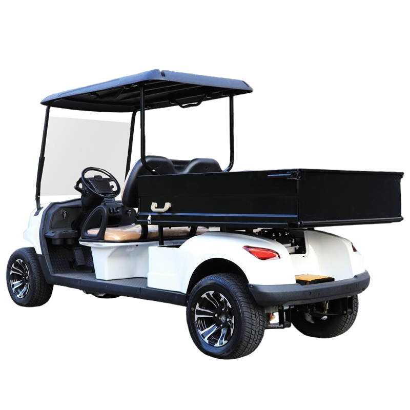 Utility golf carts buggy with cargo box EG204EHCX