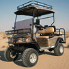Custom Off Road Golf Cart456 - EG2020ASZ