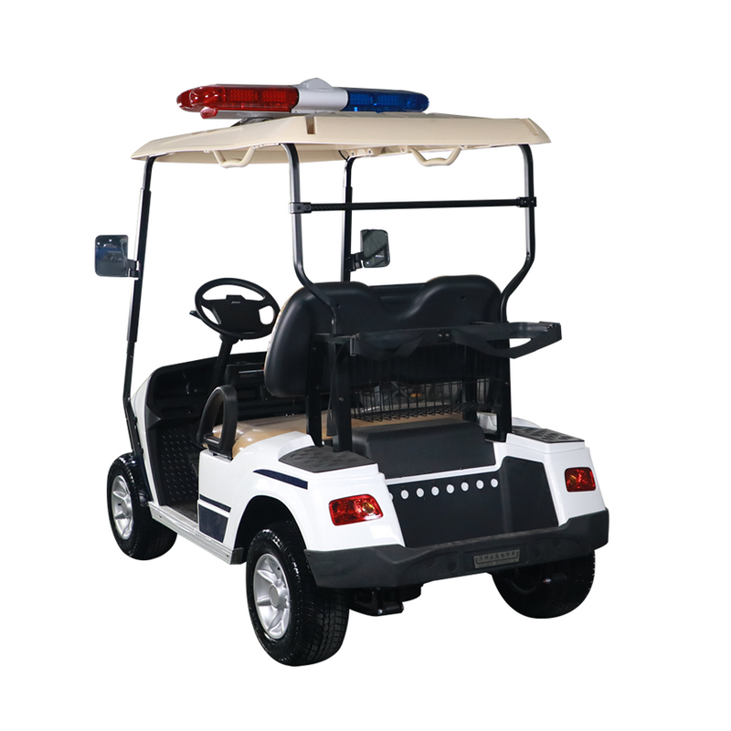 Wholesale Battery Patrol Golf Cart Petrol Golf Buggy Manufacturer - EG2028P
