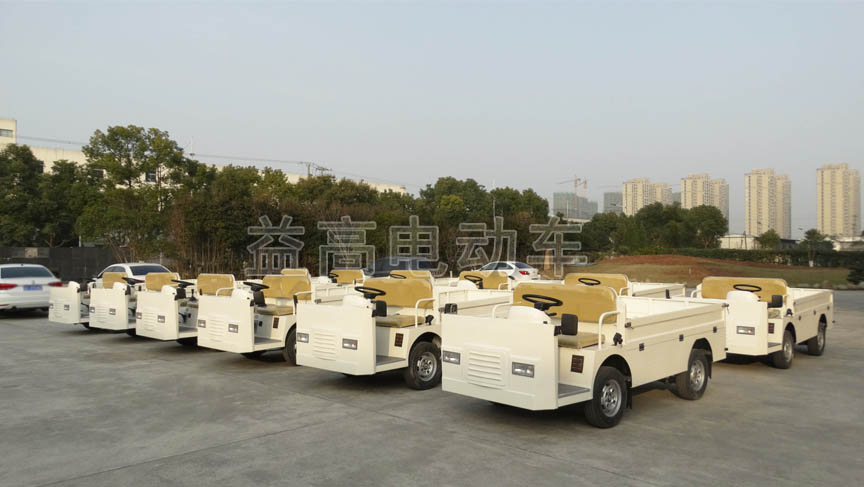 electric burden carrier