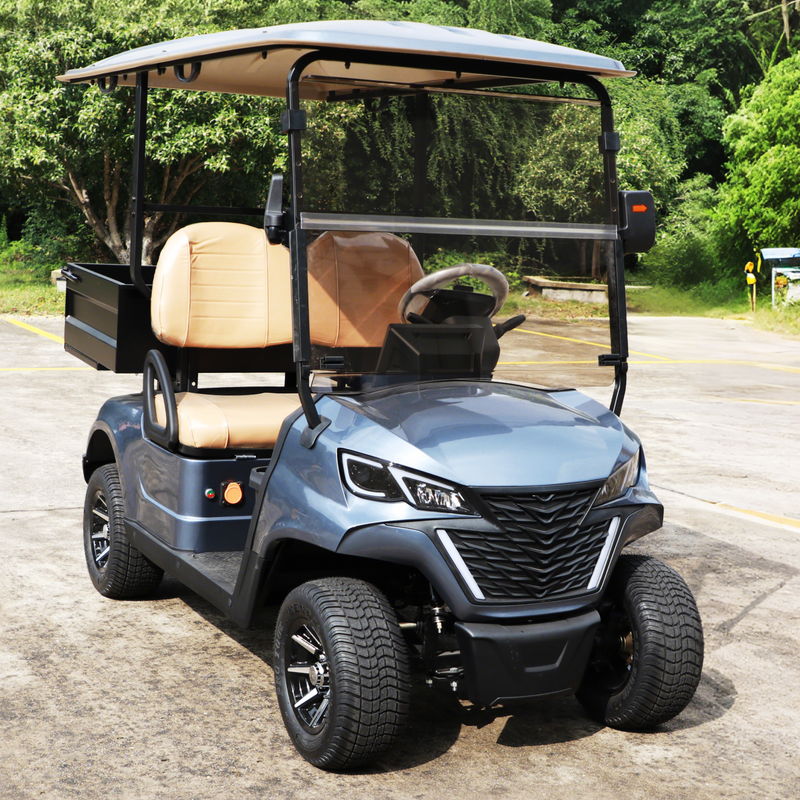 Mini Electric Golf Buggy Carts with Cargo Dump Bed - EG202EH