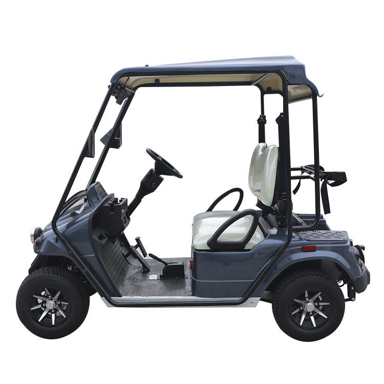 Lithium Electric 2 Passenger Vehicles Hunting Golf Carts Manufacturer - 2028H