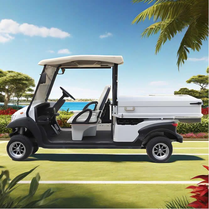 2 seater utility electric golf cart with box