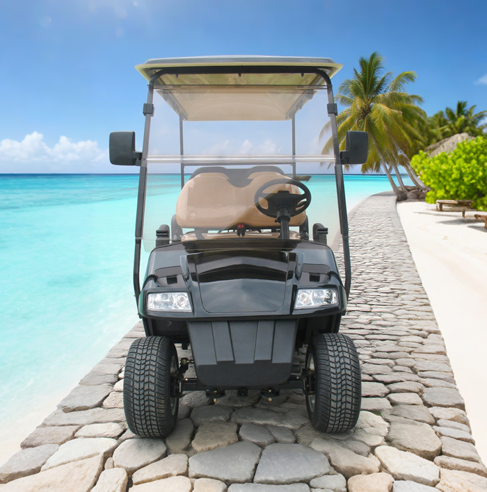 OEM ODM Chinese 48v Electric Custom Lithium Battery 6 Seater Golf Cart - Eagle Golf Cart