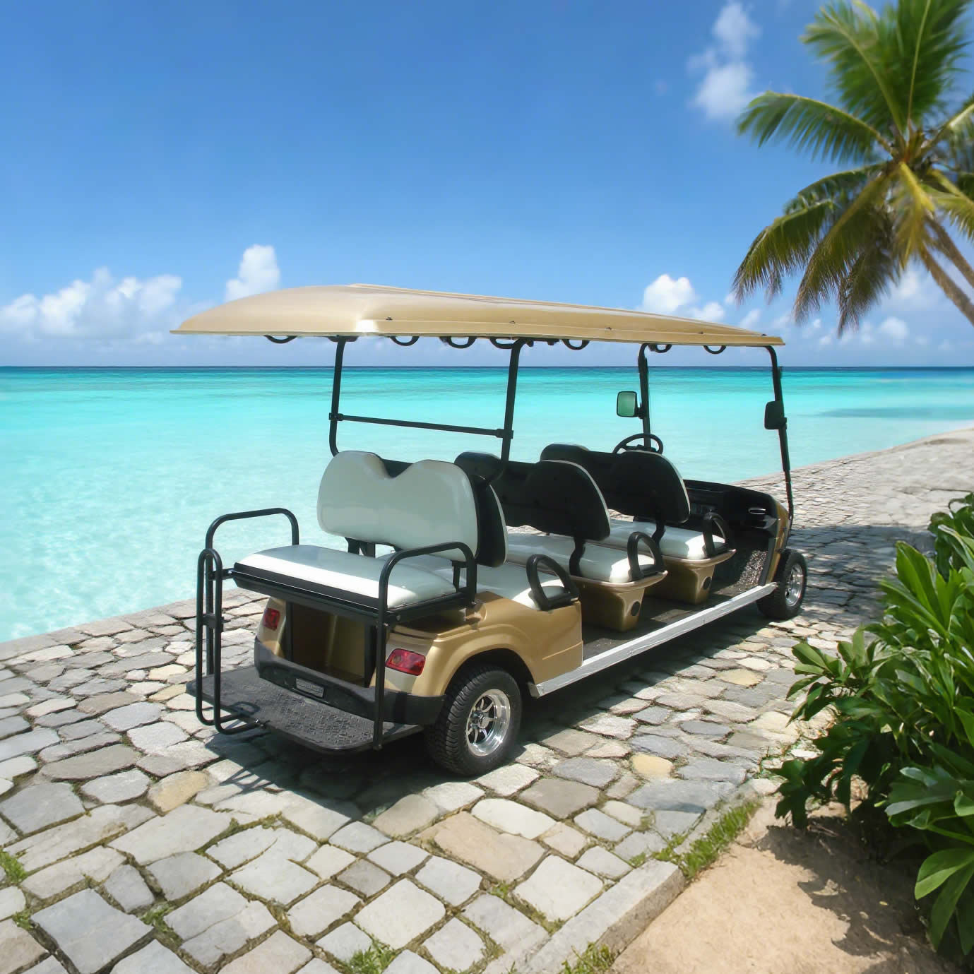 Wholesale Custom Lithium Battery 48V Electric 8 Seater Golf Cart Manufacturer - Eagle Golf Cart