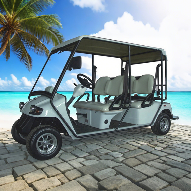 Custom Street Legal Electric Golf Cart