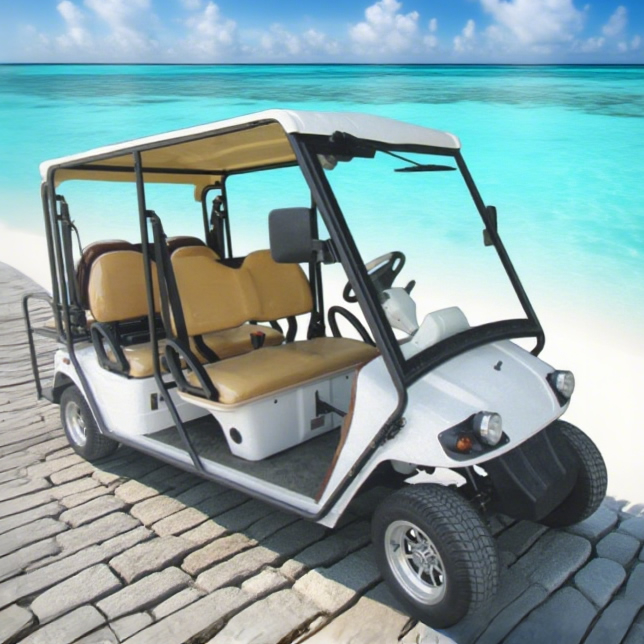 Custom 6 Seater Street Legal Electric Golf Cart - 2048HSZR