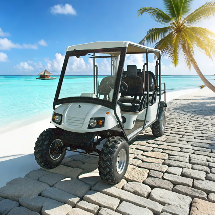 Street Legal Electric Golf Cart