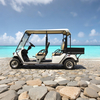 Street Legal Electric Mini Cargo Truck Lsv Golf Cart with Box