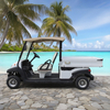 2 seater utility electric golf cart with box 