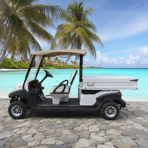 2 seater utility electric golf cart with box 