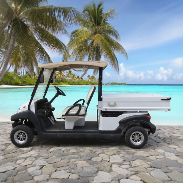 2 seater utility electric golf cart with box 