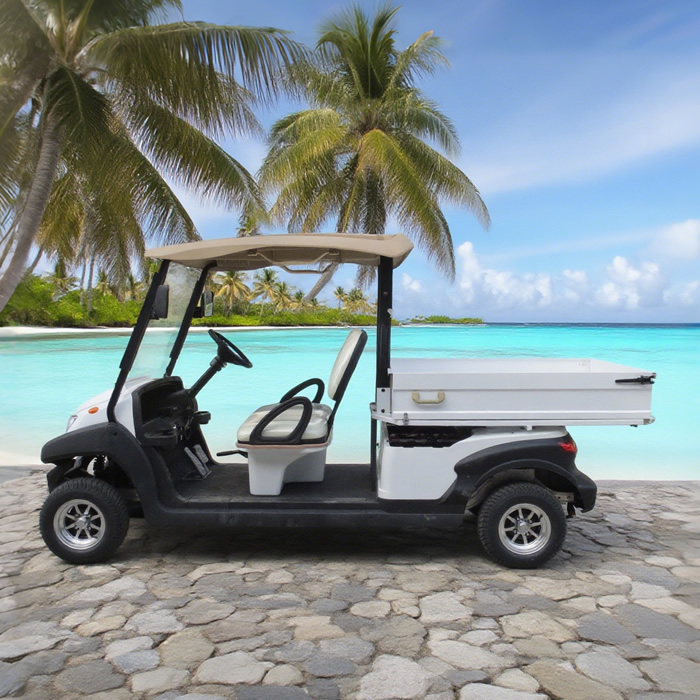 2 seater utility electric golf cart with box 