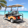 Custom Chinese 2 Seater Mini Golf Carts