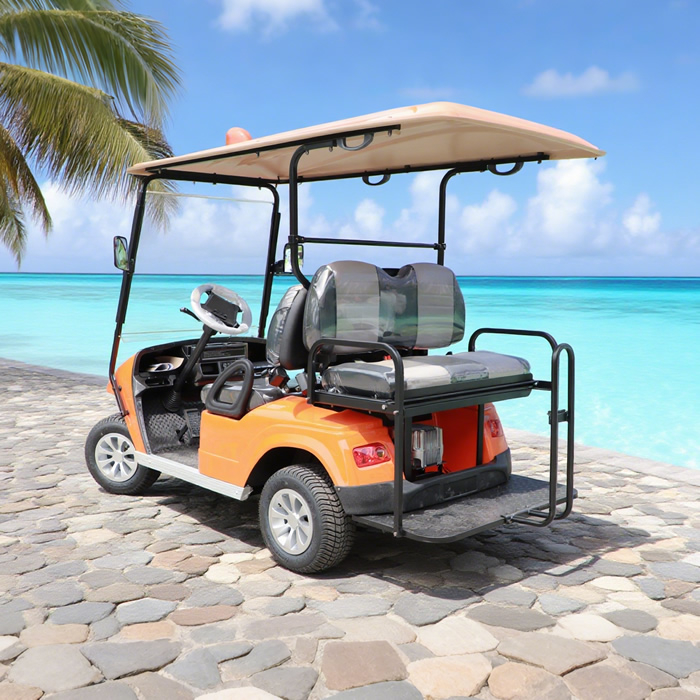 Custom Chinese 2 Seater Mini Golf Carts