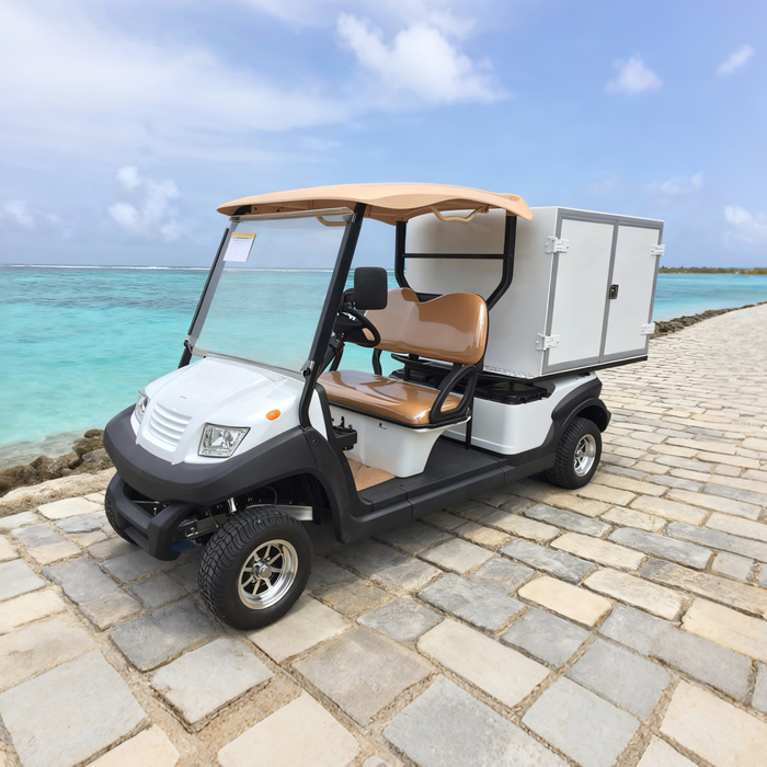 Food And Beverage Delivery Truck Golf Cart for Sale