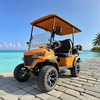 Luxury lifted utility 2+2 4 person seater golf cart