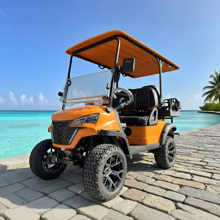 Luxury lifted utility 2+2 4 person seater golf cart