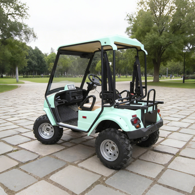Wholesale Chinese 48V 2 Seat Off Road Golf Cart Manufacturer