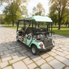 Custom Street Legal Electric Golf Cart
