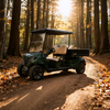 Heavy-Duty 2 Seater Utility Golf Cart with Cargo Box | China Factory Direct