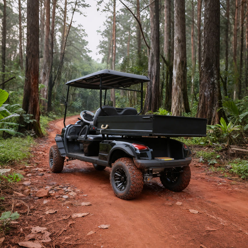 Electric Off Road Lifted Utility Golf Cart with Cargo Box