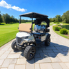 Custom 2 Person Electric Golf Cart