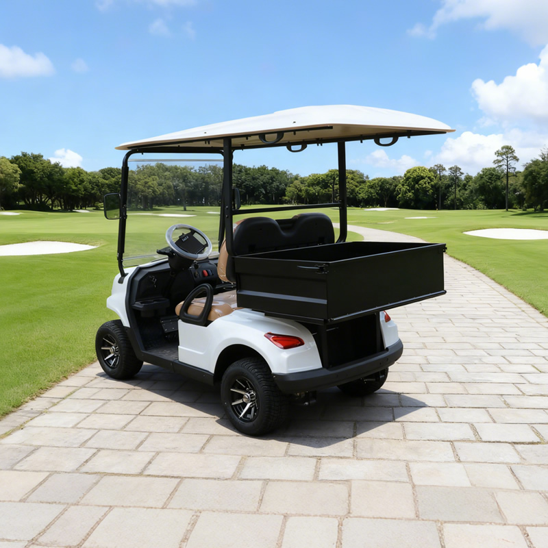 Premium Mini Electric Golf Buggy Carts with Cargo Dump Bed | Efficient & Eco-Friendly Solutions