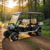 Custom Electric Hunting Off Road Golf Cart Cargo Truck Buggy Vehicle with Box Certification