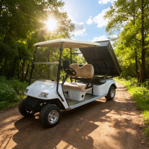 Utility Cargo Truck Golf Cart with Box