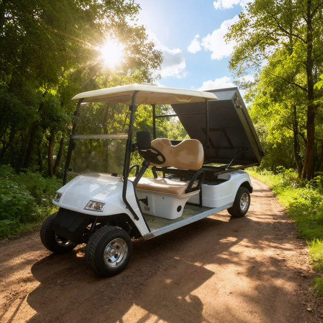Utility Cargo Truck Golf Cart with Box