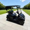 High Quality 2 Seater Mini Electric Battery Golf Cart