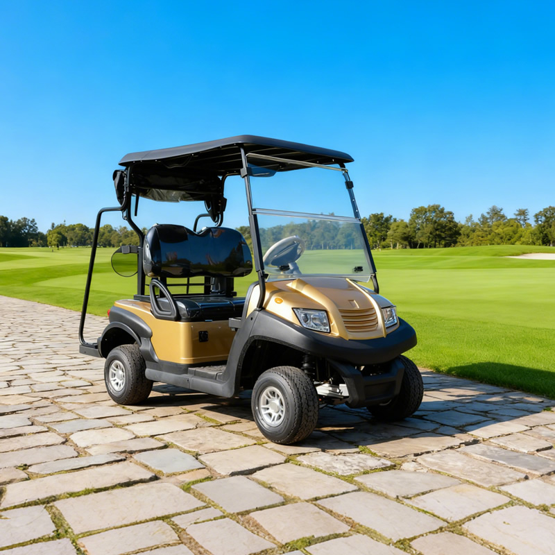 Custom Golf Cart Price for A Golf Cart