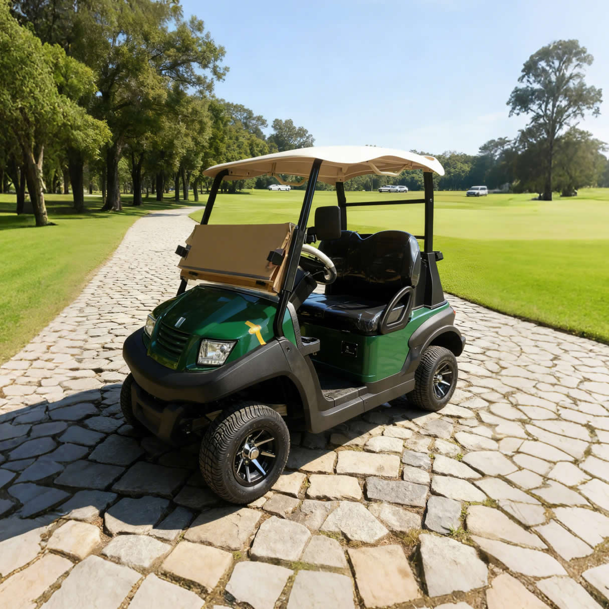 Custom Best 48V Mini Farm Electric Battery Lithium Golf Cart - EG202AK