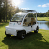 China Electric Golf Cart Manufacturer & Supplier - Custom Golf Carts for Sale
