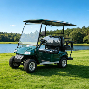 Custom Mini Electric LSV Golf Cart Golf Buggy Carts for Sale - Eagle Golf Cart
