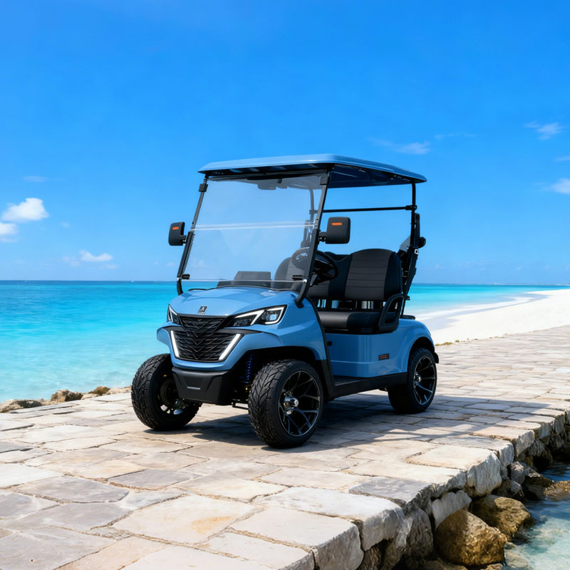 Chinese 2 Seat Electric Mini Golf Cart - Eagle