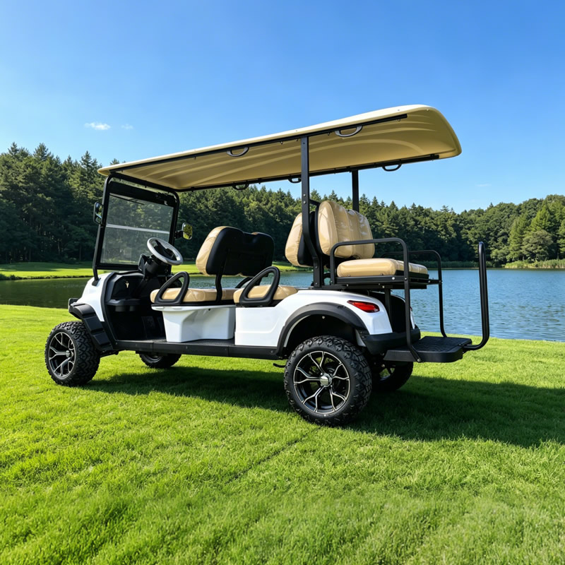 Wholesale Sightseeing Lifted 6 Seater Golf Cart Buggy for Hotels