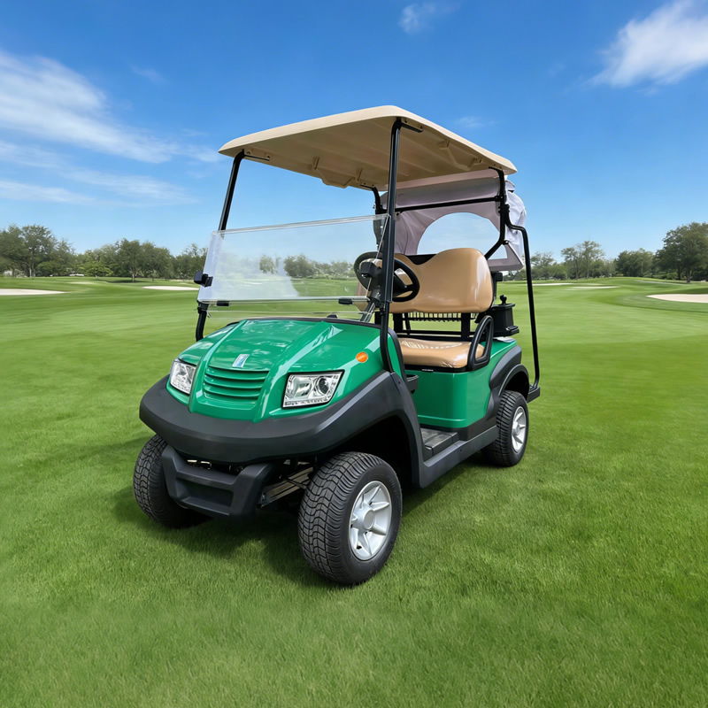 Custom Golf Cart Price for A Golf Cart