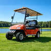 Custom Chinese 2 Seater Mini Golf Carts - Eagle Golf Cart