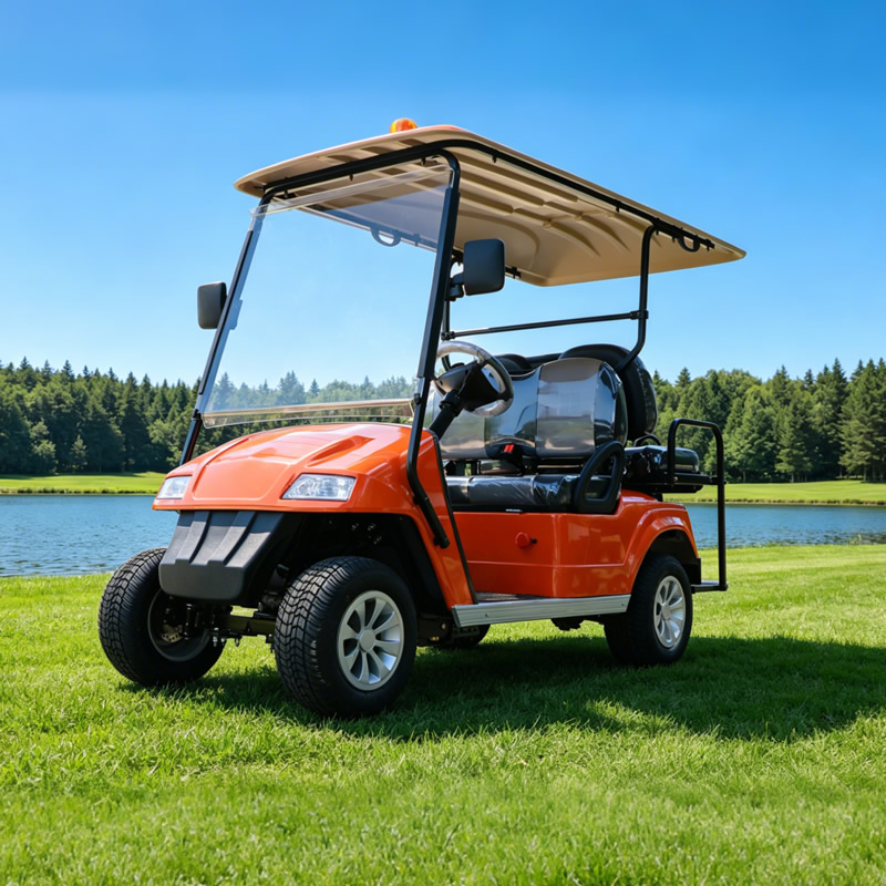 Custom Chinese 2 Seater Mini Golf Carts - EG2028KSZ