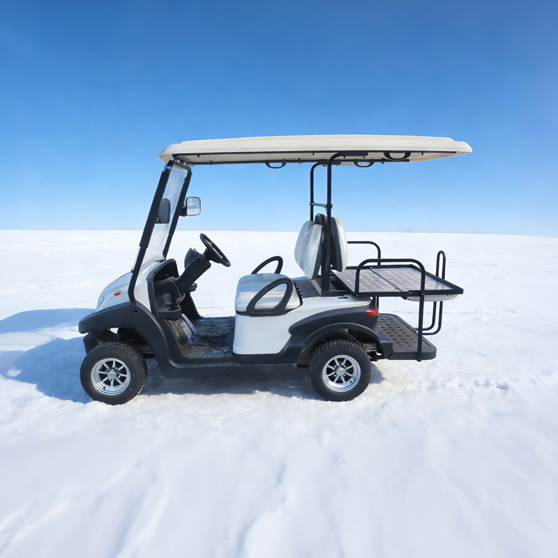 48v utility 2 + 2 4 seater golf carts - Eagle Golf Cart