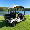 Custom Mimi Electric Golf Cart Buggy Off Road With Box