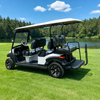 Wholesale Customized Electric Golf Buggy for Resort & Hotel - Eagle Golf Cart
