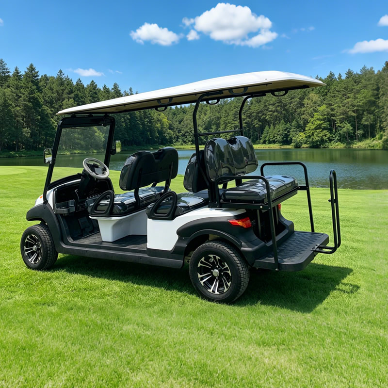 Wholesale Customized Electric Golf Buggy for Resort & Hotel - Eagle Golf Cart