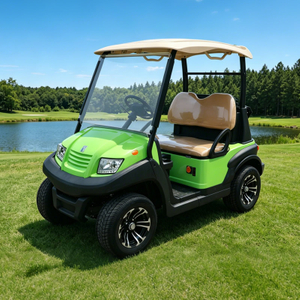 High Quality 2 Seater Mini Electric Battery Golf Cart - Eagle