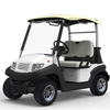 High quality 2 seater mini golf cart - EG202AK